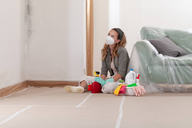 Reliable Mold Inspection And Testing contractor in Clarksburg, MD by Car Mold Remediation